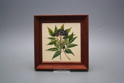 Bild 19,5cm Herbs cMHB č.1