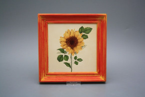 Bild 19,5cm Sonnenblumen cCMB