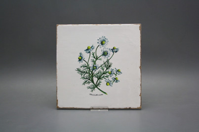 Forli Blanco Wandfliese 20x20cm Herbs 6-teiliges Set č.1