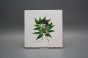 Forli Blanco Wandfliese 20x20cm Herbs 6-teiliges Set č.2