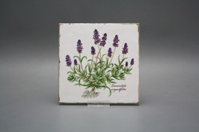 Forli Blanco Wandfliese 15x15cm Herbs Classic 6-teiliges Set
