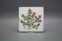Forli Blanco Wandfliese 15x15cm Herbs Classic 6-teiliges Set č.4