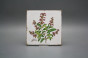 Forli Blanco Wandfliese 15x15cm Herbs Classic 6-teiliges Set č.6