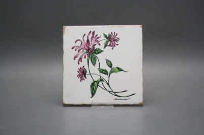 Forli Blanco Wandfliese 15x15cm Herbs 6-teiliges Set č.1