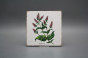Forli Blanco Wandfliese 15x15cm Herbs 6-teiliges Set č.2