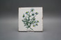 Forli Blanco Wandfliese 15x15cm Herbs 6-teiliges Set č.6