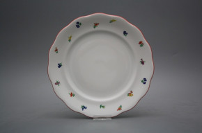 Flacher Teller 24cm Alaska Streuer ACL