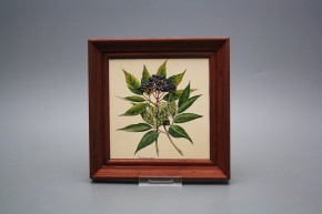 Bild 19,5cm Herbs cMHB
