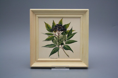 Bild 19,5cm Herbs cPBB č.1