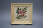 Bild 19,5cm Herbs cPBB č.2