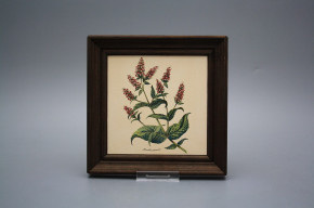Bild 19,5cm Herbs cTHB