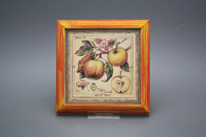 Bild 18cm Fruits kCMB