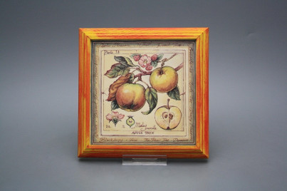 Bild 18cm Fruits kCMB č.1