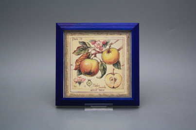 Bild 18cm Fruits kMOB č.1