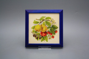 Bild 18cm Obstgarten kMOB