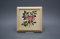 Bild 18cm Herbs kPBB č.6
