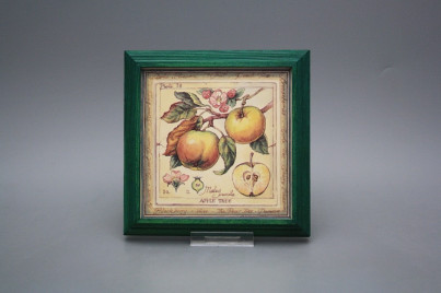 Bild 18cm Fruits kZLB č.1