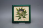 Bild 18cm Herbs kZLB č.6
