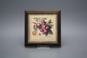 Bild 18cm Fruits kTHB