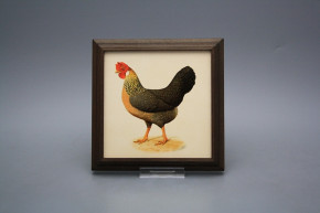 Bild 18cm Henne kTHB
