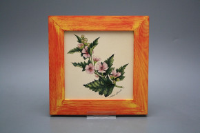 Bild 20cm Herbs eCMB