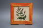 Bild 20cm Herbs eCMB č.4