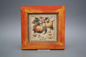 Bild 20cm Fruits eCMB