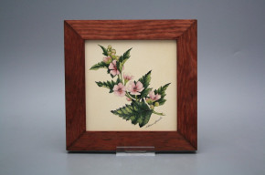 Bild 20cm Herbs eMHB