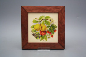 Bild 20cm Obstgarten eMHB