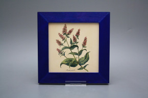 Bild 20cm Herbs eMOB