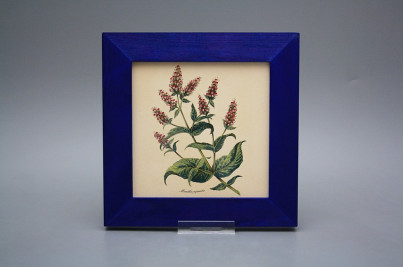 Bild 20cm Herbs eMOB č.1