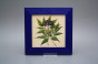 Bild 20cm Herbs eMOB č.3