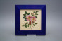 Bild 20cm Herbs eMOB č.4
