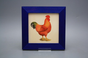 Bild 20cm Henne eMOB