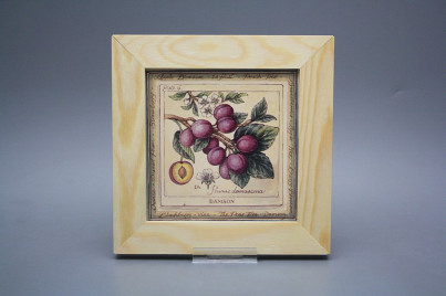 Bild 20cm Fruits ePBB č.1