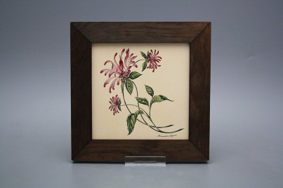 Bild 20cm Herbs eTHB č.1