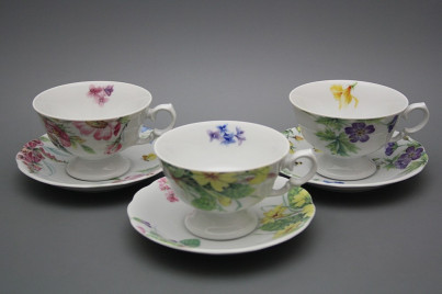 Teetasse 0,2l und Untertasse Alaska Country BB č.1