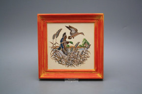 Bild 19,5cm Wildente cCMB