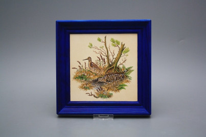 Bild 19,5cm Schnepfe cMOB č.1