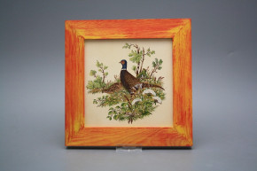 Bild 20cm Fasan eCMB