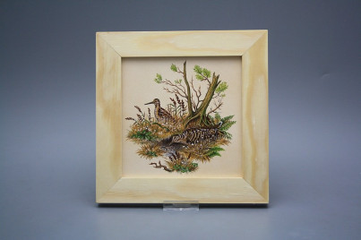 Bild 20cm Schnepfe ePBB č.1