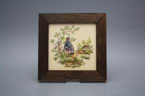 Bild 20cm Rebhuhn eTHB