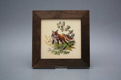 Bild 20cm Fuchs eTHB č.1