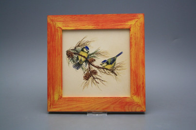 Bild 20cm Blaumeise eCMB č.1
