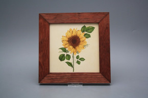 Bild 20cm Sonnenblumen eMHB