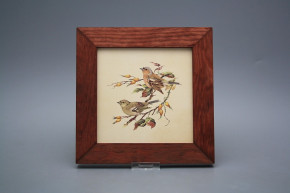 Bild 20cm Buchfink eMHB