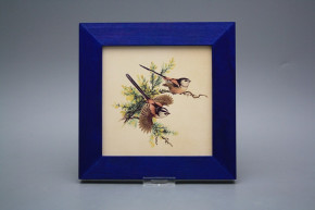 Bild 20cm Schwanzmeise eMHB