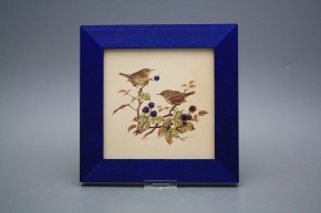 Bild 20cm Zaunkönig eMHB