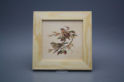 Bild 20cm Buchfink ePBB č.1