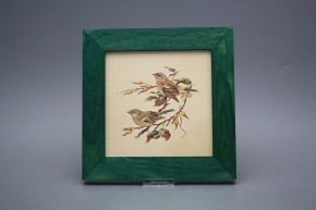 Bild 20cm Buchfink eZLB
